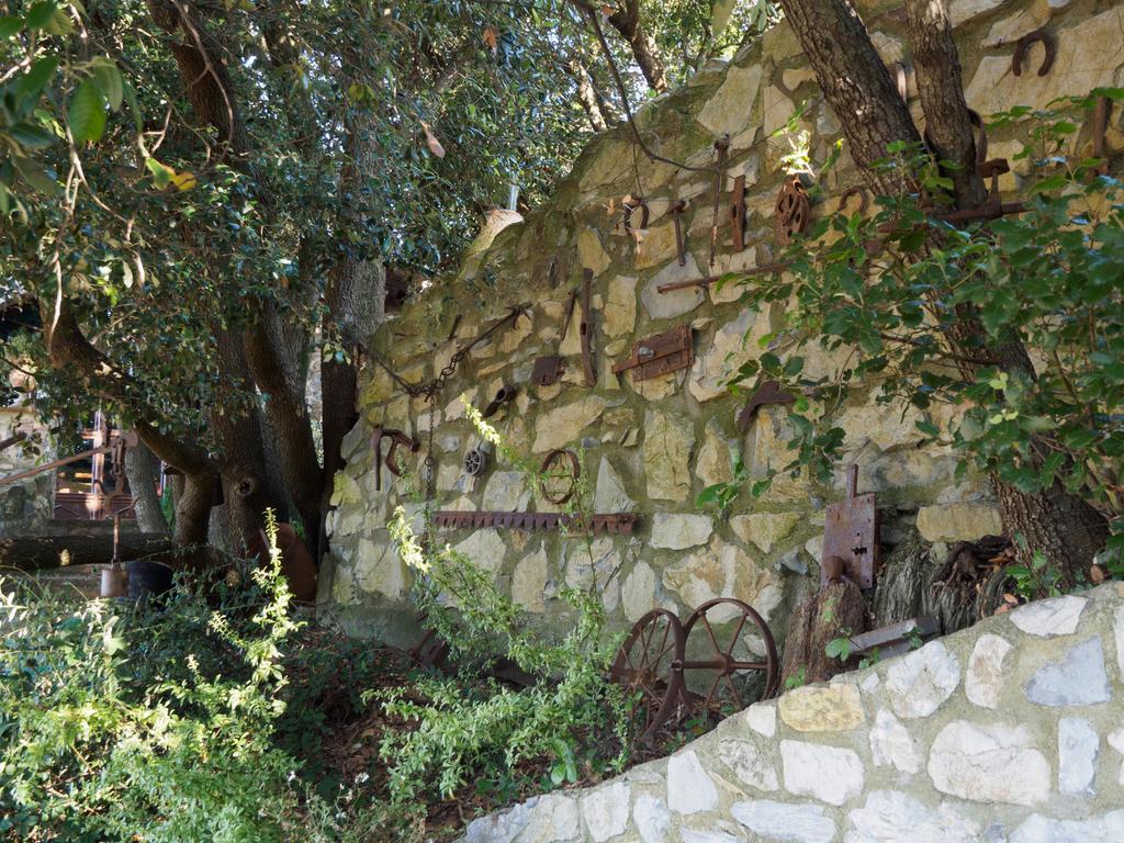 Poggio Alla Rocca Roccastrada Exterior photo